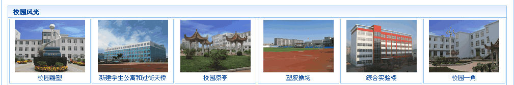 黑山县第一高级中学官网 截图 切片8